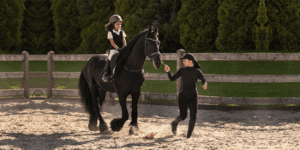 USEF Clarification On Amateurs
