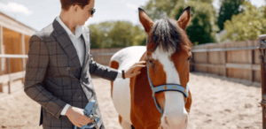Can A Horse Seller Disclaim Liability For Fraud?