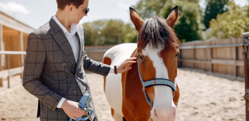 Can A Horse Seller Disclaim Liability For Fraud?